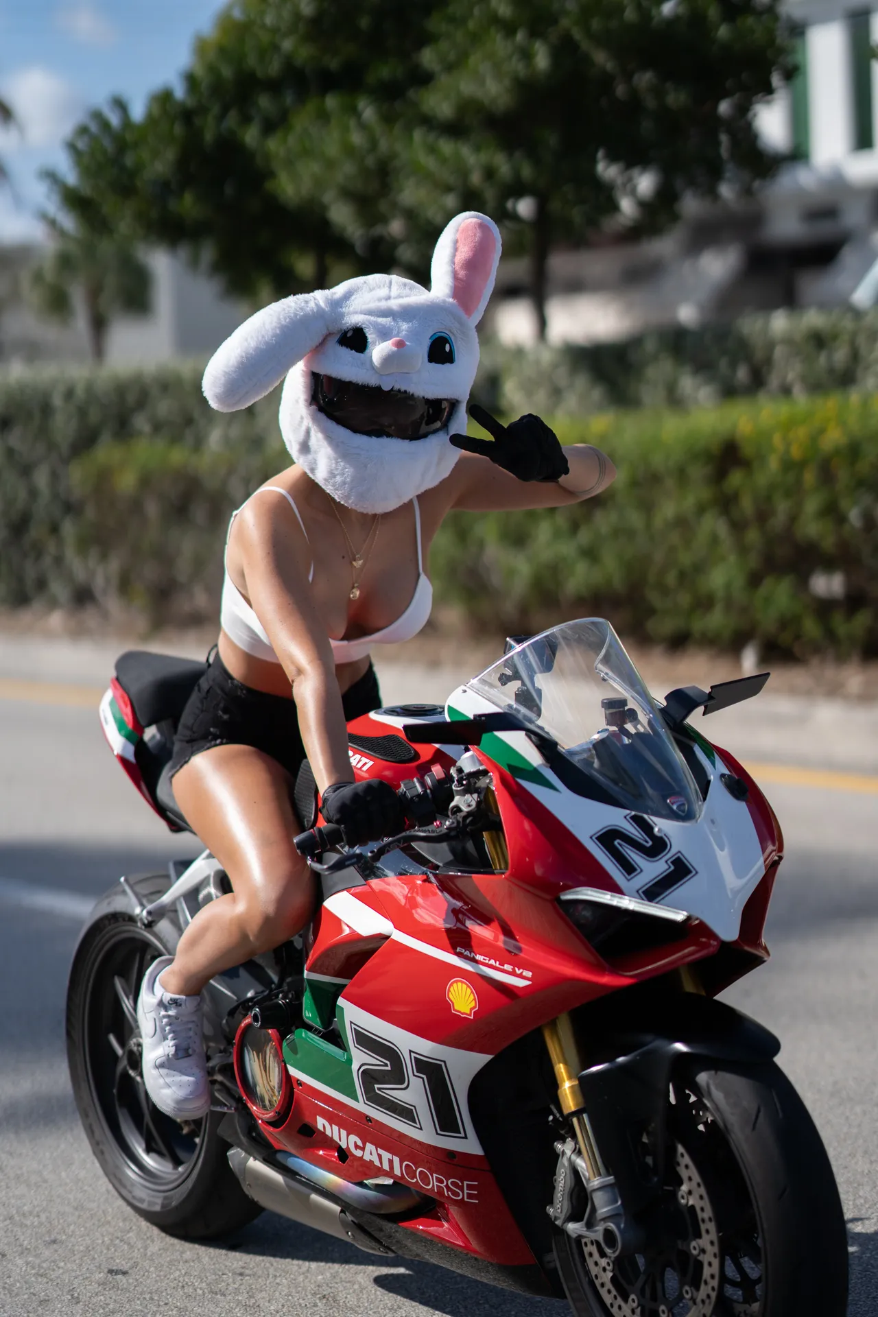 Motorcycle Culture photo 5